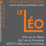 Logo le leo